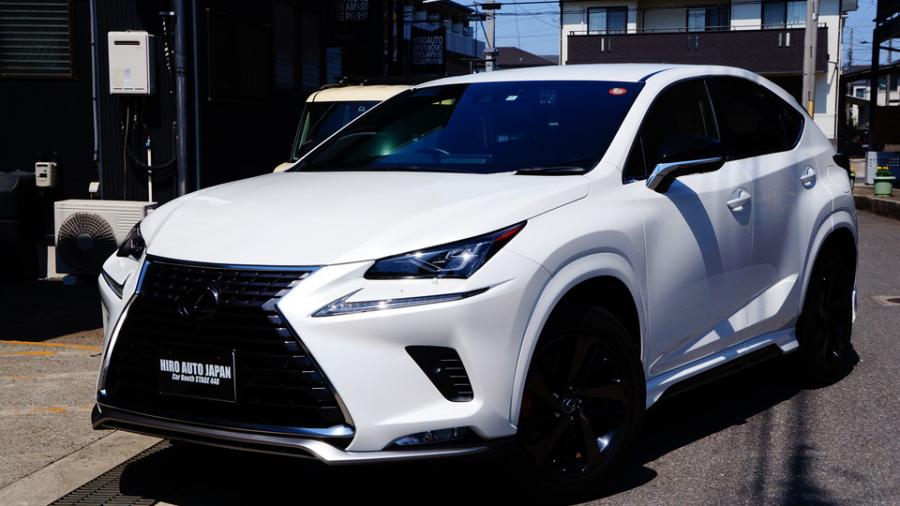 レクサスNX300　キャリパー塗装COLOR:オリジナル調色カラー